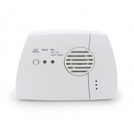 D&eacute;tecteur de Monoxyde de Carbone CE 7 ans - HOME SECURE - DETCO12